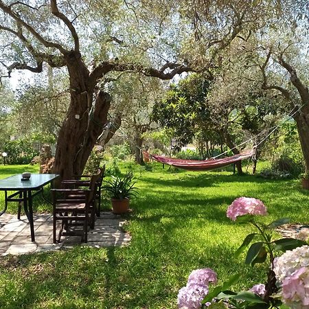 Hotel George Chrisi Ammoudia Zimmer foto