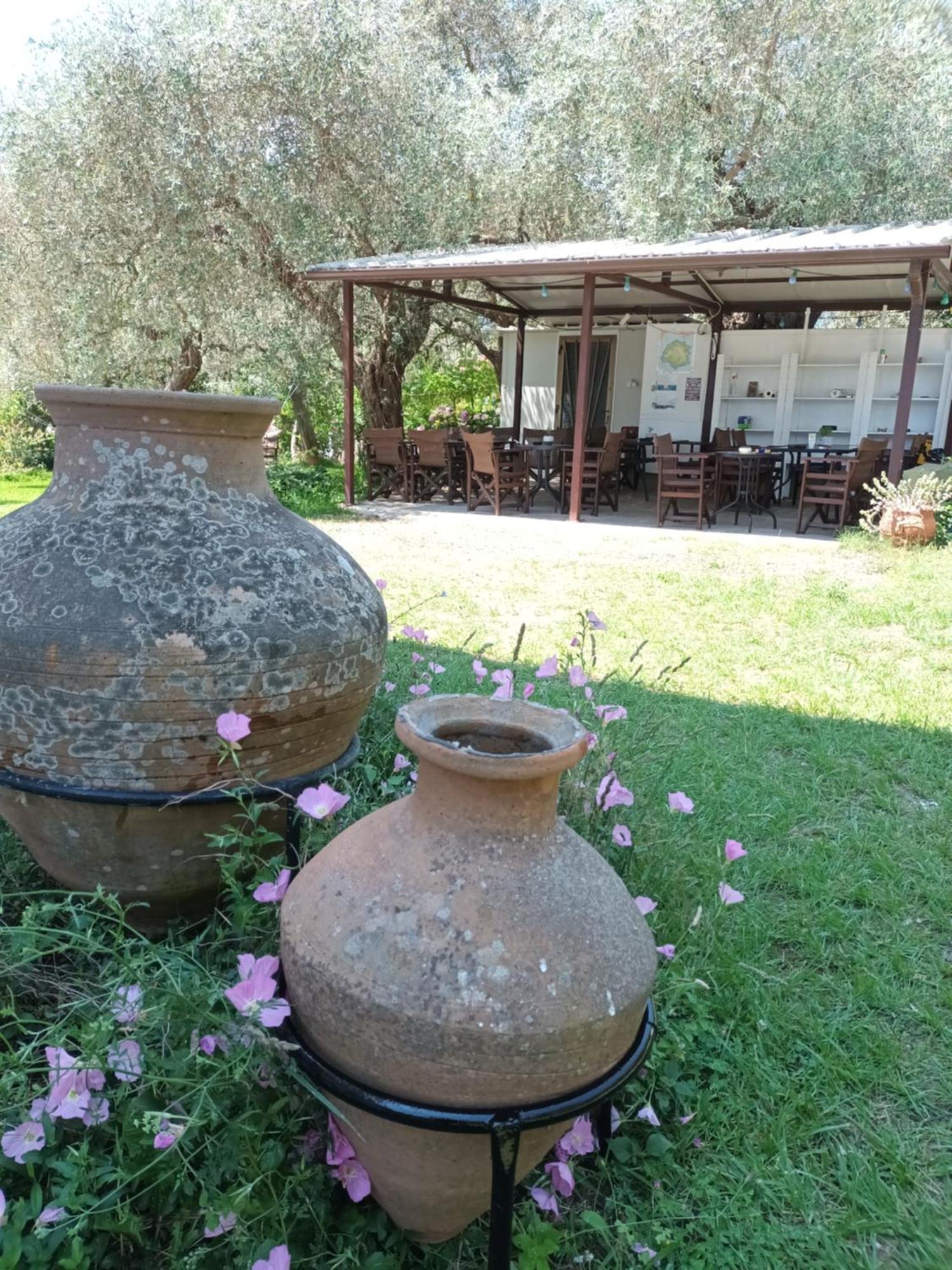 Hotel George Chrisi Ammoudia Zimmer foto